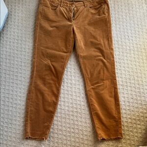 Louisa Cerano gold velour straight leg pants. Size 10.
